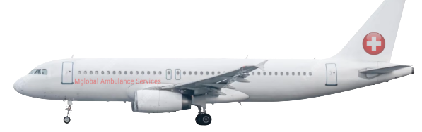 plane-left-view-moving